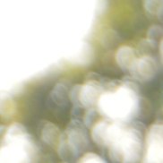 ������, , ����������