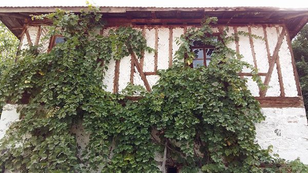 Pevril - 17 ������� 2017 � 09:18 - 14