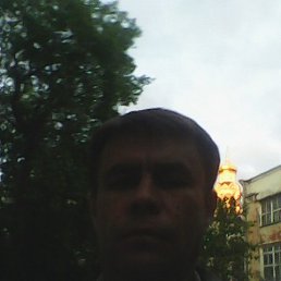 , , 50 