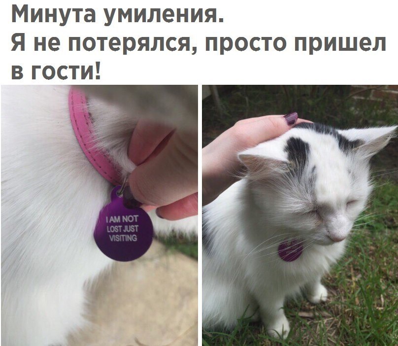  - 4  2017  10:04