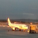  , , 51  -  5  2017    2017