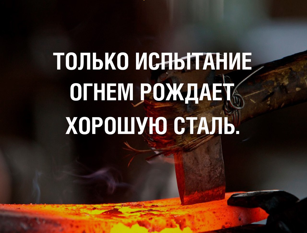  -   - 5  2017  17:08