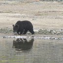 ���� �����, ����������, 45 ��� - ��������� 17 ������� 2017 � ������ ���� ����������