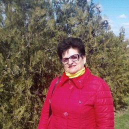 , 65, 