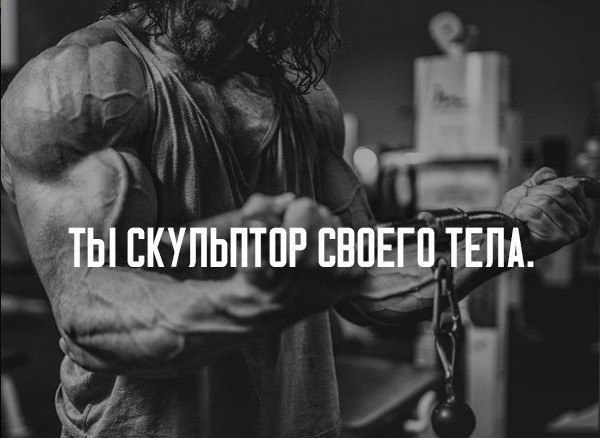 SportFeed - 20  2017  03:08