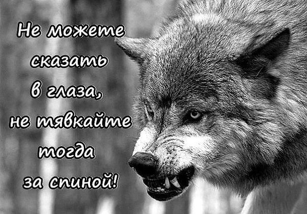 Когда плачет ребенок...МАТЬ может встать даже с предсмертного ложа... Когда плачет МАТЬ...иные дети ... - 5