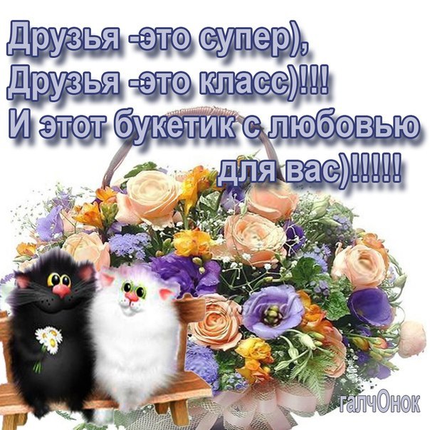  - 5  2017  05:43