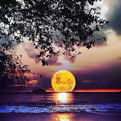      .   , ,    ?    .  ...