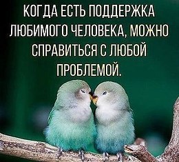      - 5  2017  07:06