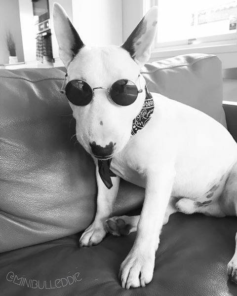 С началом новой рабочей недели!