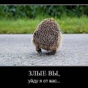  Vadim Z, , 51  -  13  2017    