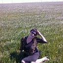 ���� ����, ������-��-����, 71 ��� - ��������� 30 ������ 2017 � ������ ���������� ������