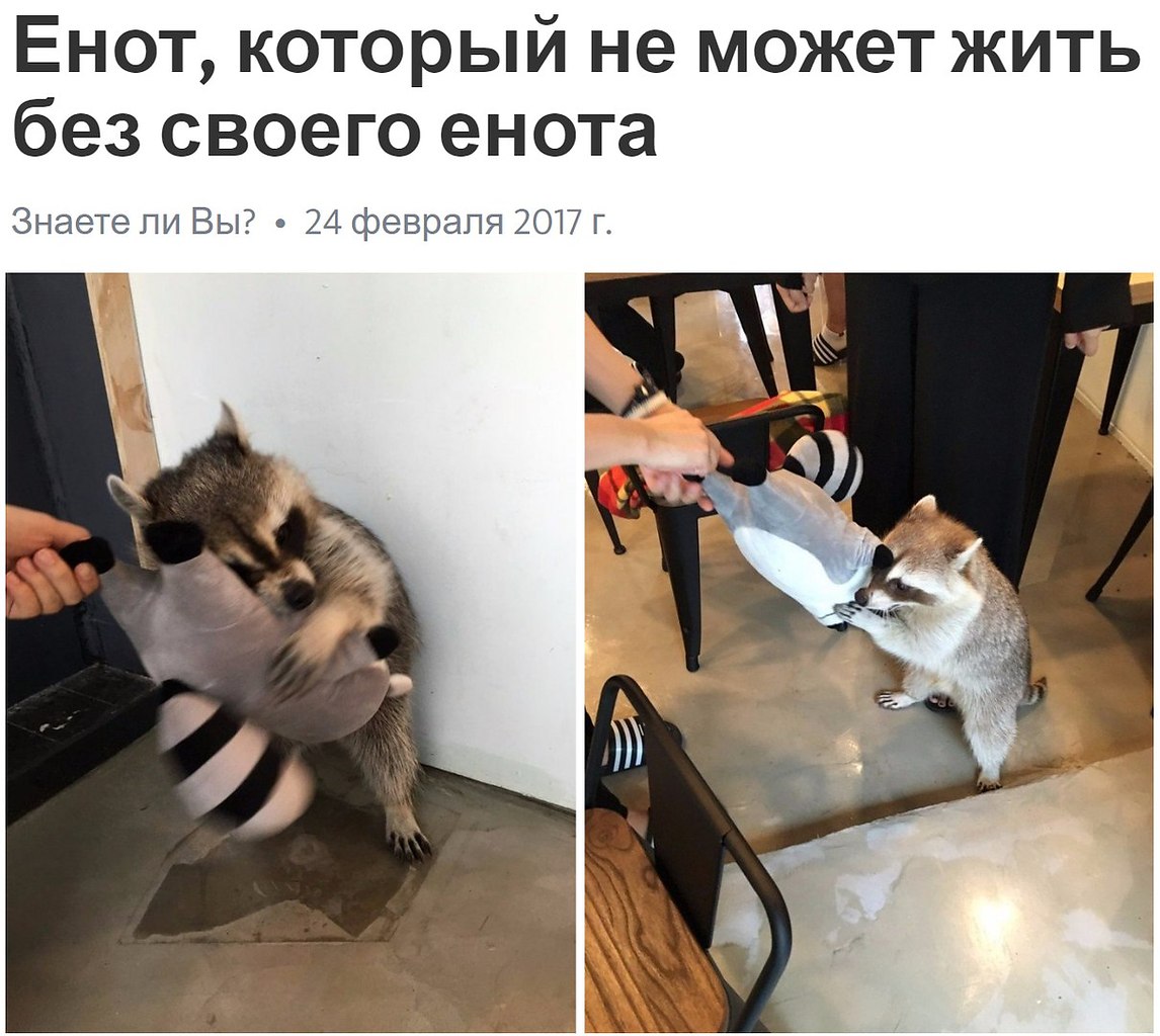   - 8  2017  19:49