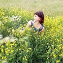 ���� �������, ������������, 51 ��� - ��������� 29 ���� 2017