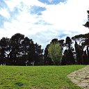  , , 60  -  23  2017    - 2017