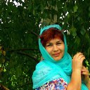 ���� �������, ���������, 48 ��� - ��������� 1 ������� 2017 � ������ ���� ����������