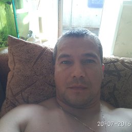 , 44 ,  