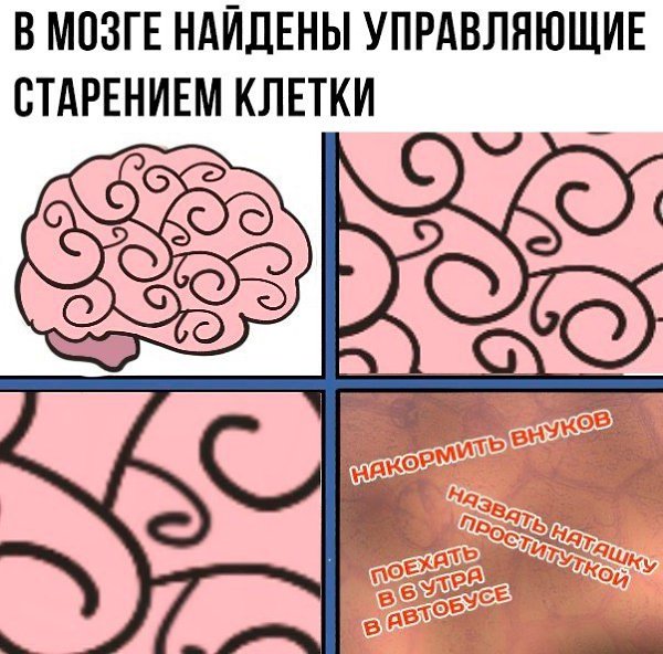    - 29  2017  07:33
