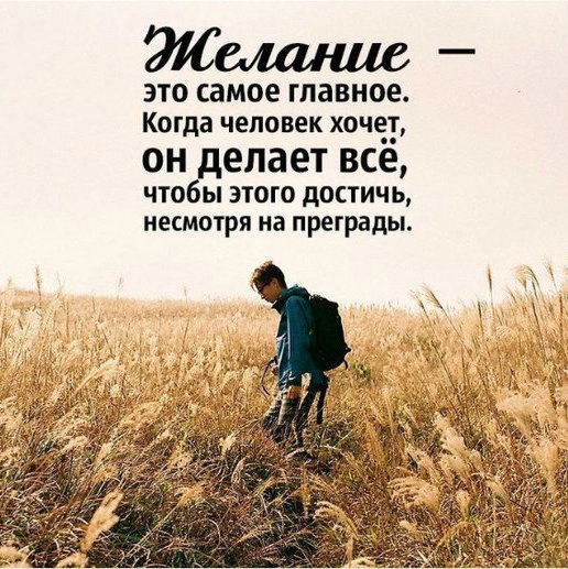 LIFE -  - 12  2017  14:00