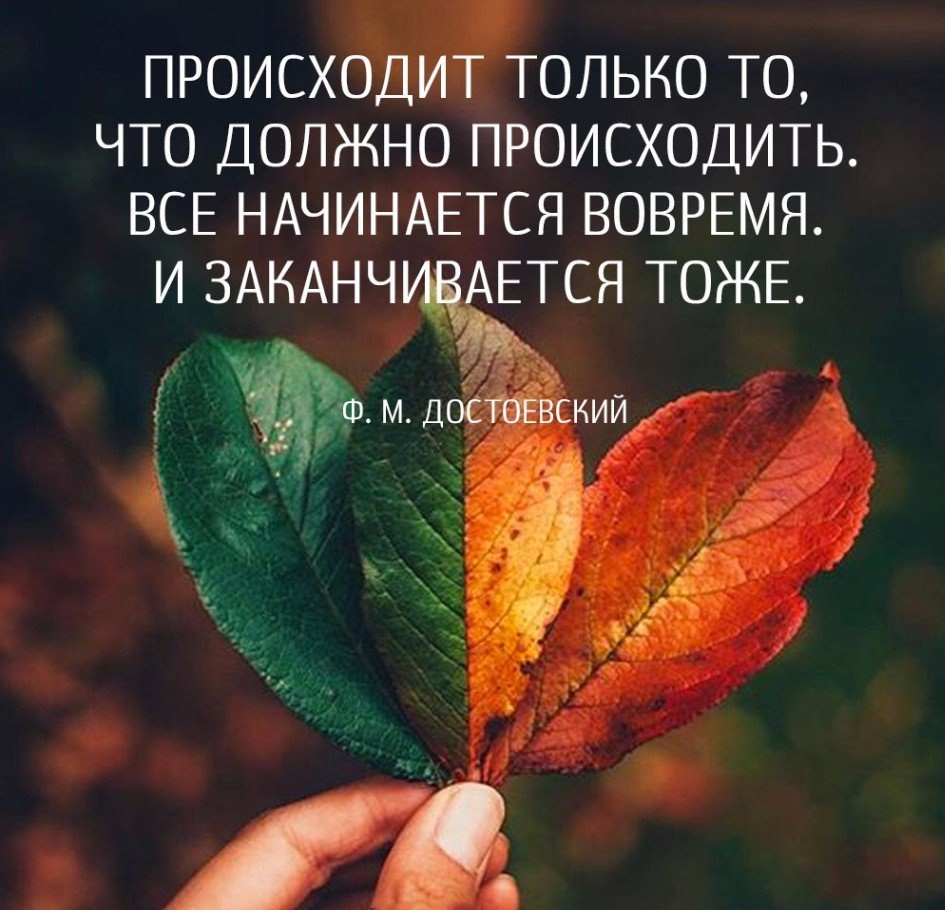      - 13  2017  07:15