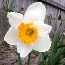 ���� �������, ������, 58 ��� - ��������� 30 ������ 2017 � ������ ���������� �����