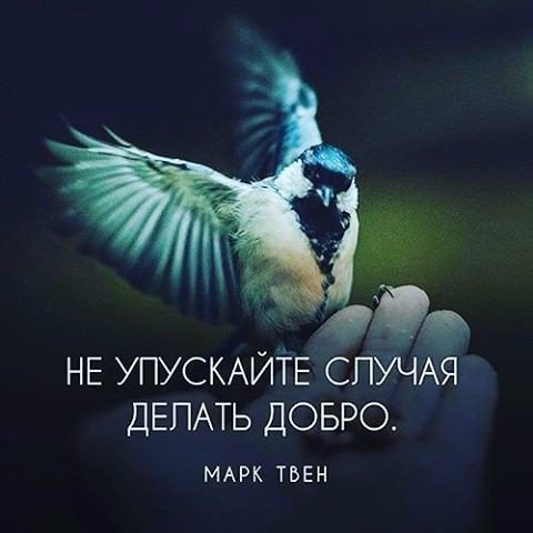   . . . - 1  2017  19:06