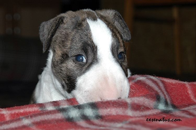 Уважаемые участники группы!)).Всем хорошего настроения в Буле-Городке))) Надеемся что в нашей группе ...