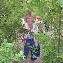 �. ������������ �.���� �� ������� ���� ����������