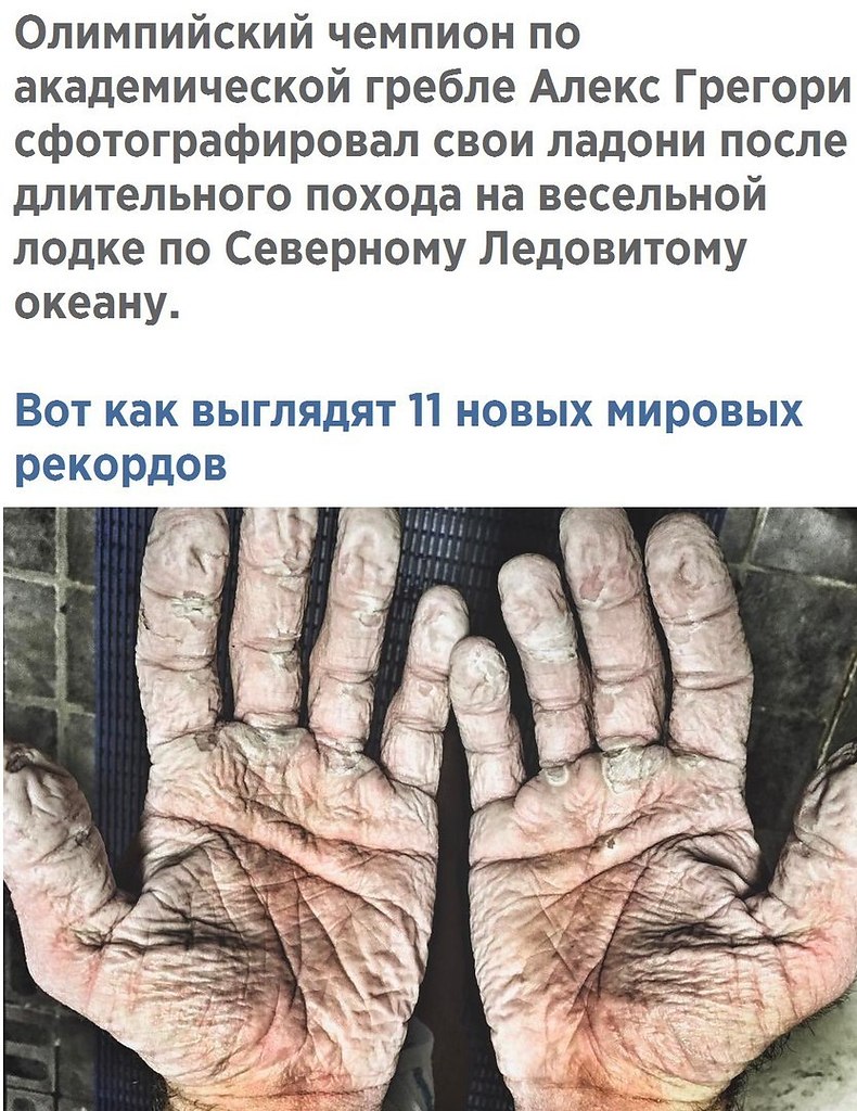    - 1  2017  17:41