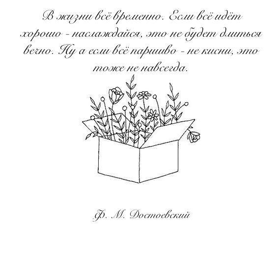     - 13  2017  16:34