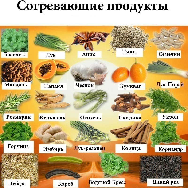 ЗНАЧЕНИЕ ГОРЬКОГО И ВЯЖУЩЕГО ВКУСОВ ДЛЯ СБАЛАНСИРОВАННОГО ПИТАНИЯ - Роса ТВ