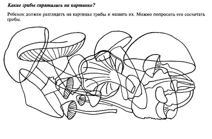     ? (   ) - 3