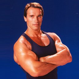 ����, ������, 36 ���