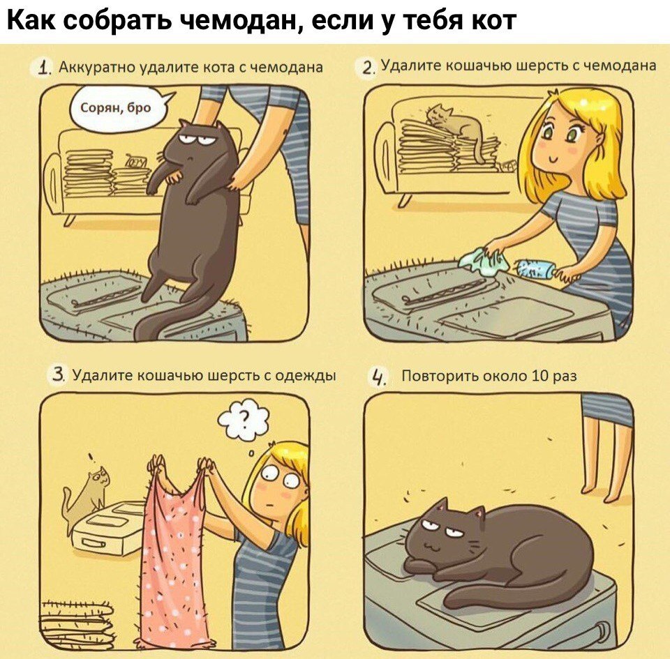       - 24  2017  13:45