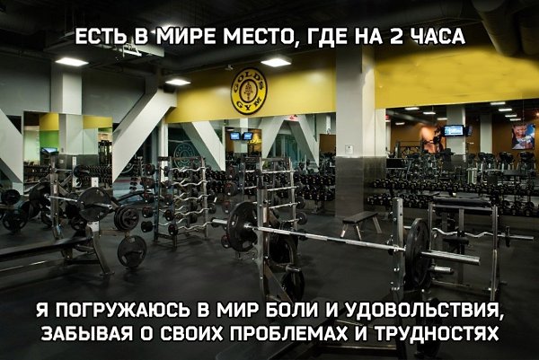 ����� - ��� ����� - 8 ���� 2017 � 06:09