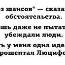  , , 49  -  29  2017    