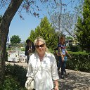 ���� �������, ������ - ��������� 15 ��� 2017 � ������ ��������