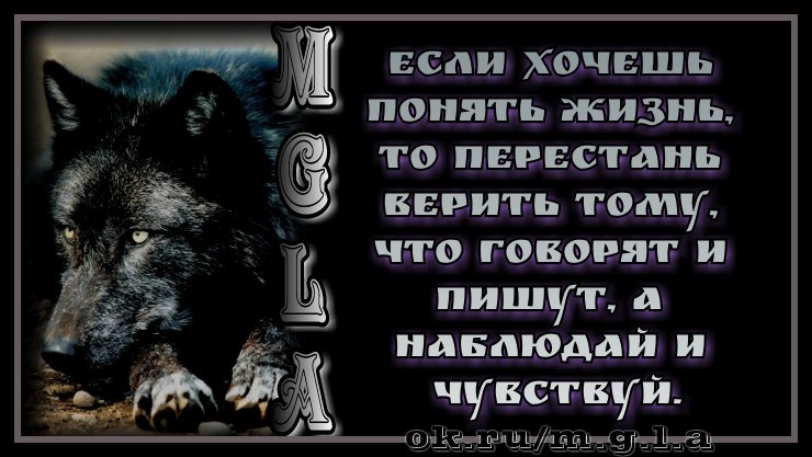 <a href=