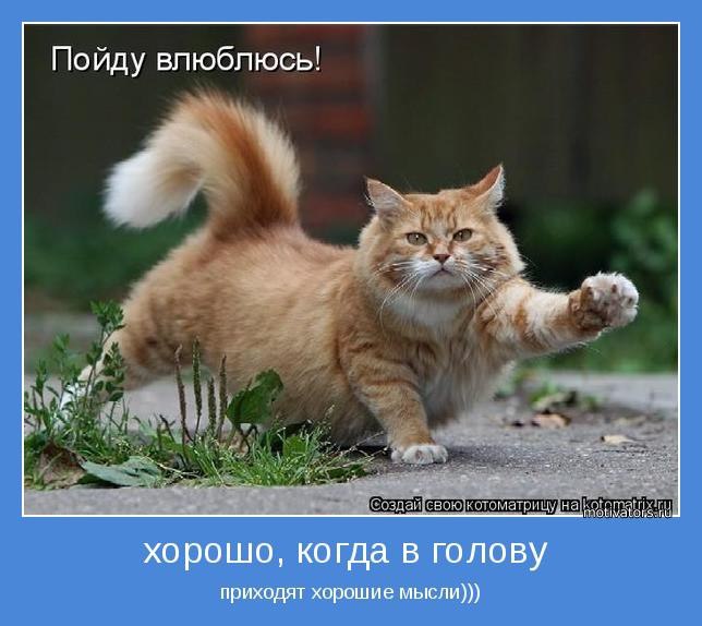 �������� - 25 ���� 2017 � 17:49