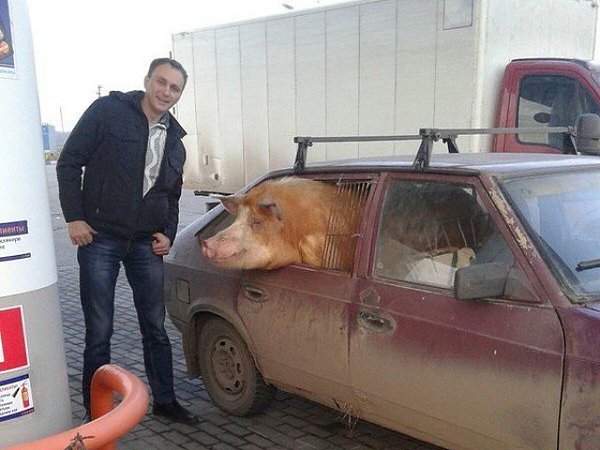   )))