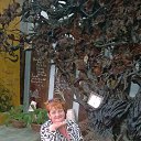 ���� �������, ������ - ��������� 18 ������ 2017 � ������ ���� ����������