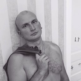 �����, ������, 41 ���