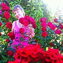 ���� �����, �����, 60 ��� - ��������� 3 ������ 2017 � ������ ���������� ������