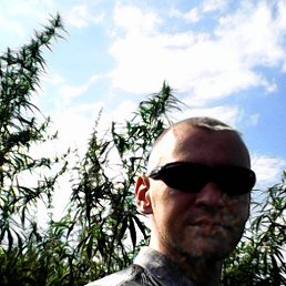 ����������, ������������, 43 ����