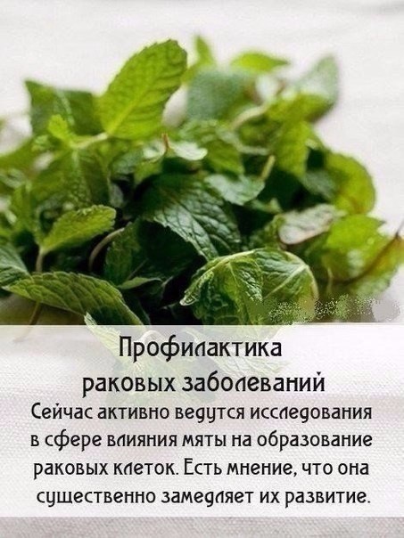 -:  .#@ican - 5
