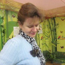 ���� �����, ������, 55 ��� - ��������� 20 ������ 2017