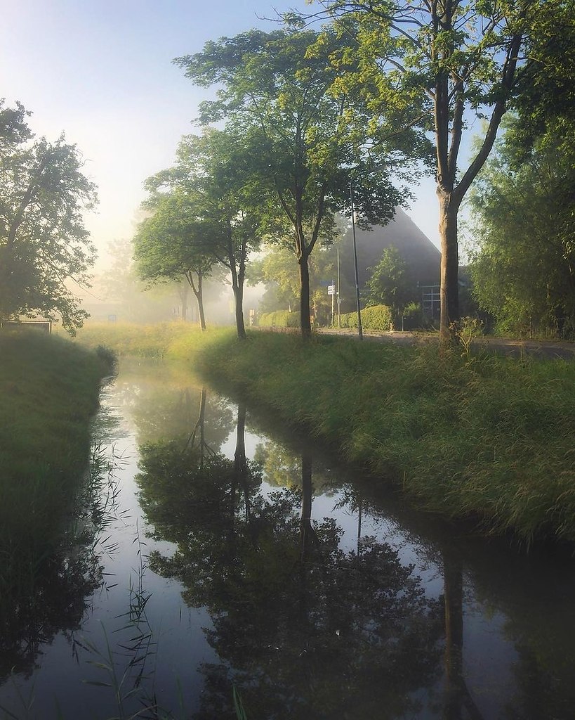 North Hollandvlinderlin - 7