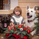 ���� ������, ������ - ��������� 17 ���� 2017 � ������ ���������