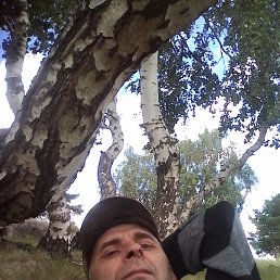 ���� �������, ������, 48 ��� - ��������� 8 ���� 2017