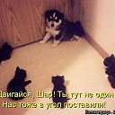 ���� Liliya, �������� - ��������� 7 ���� 2017 � ������ ������������ ����� ������